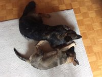 Shani und Xelie